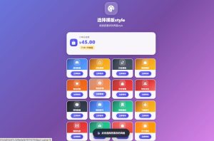 新16合一代付系统-一点技术源码网
