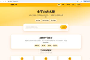 去水印API总站系统/全开源/所有去水印功能在本地实现-一点技术源码网
