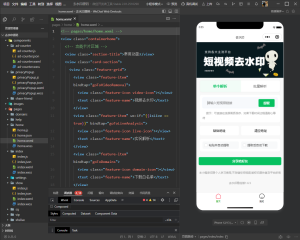 2026最新去水印小程序源码 v1.6.5 带流量主-一点技术源码网
