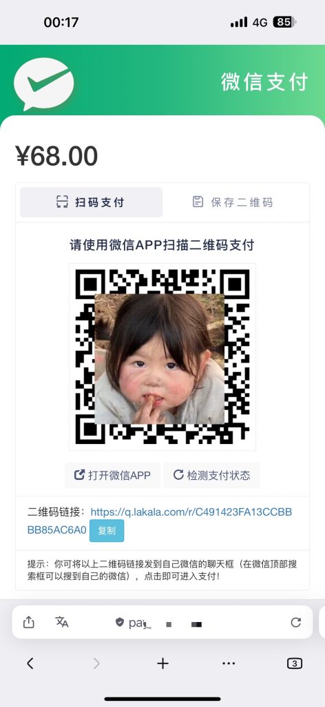 图片[6]-拉卡拉个人账户支付插件免输入（秒回调）-一点技术源码网