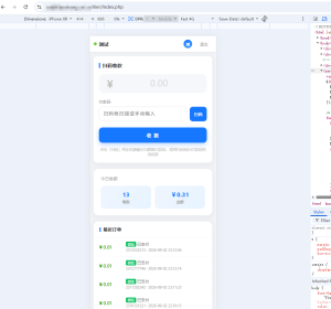 Al开发反扫收款系统-一点技术源码网