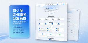 白小泽DNS域名分发系统 公测版 v1.0.0-一点技术源码网
