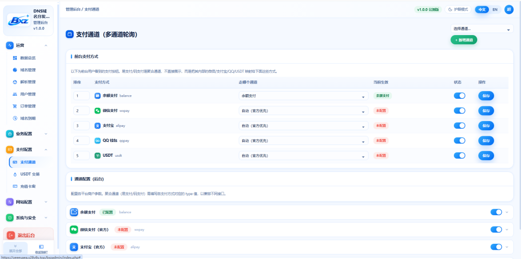 图片[10]-白小泽DNS域名分发系统 公测版 v1.0.0-一点技术源码网